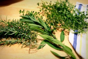 This was my herb selection for the night. Rosemary, Texas Tarragon (AKA Mexican Dandelion, and Thyme.